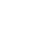 Globe Icon